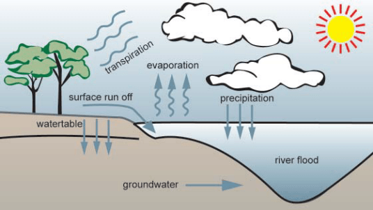 A simple diagram of the water cycle as it relates to flooding.